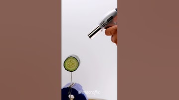 Old cucumber vs torch pt.2  🔥 #ASMR