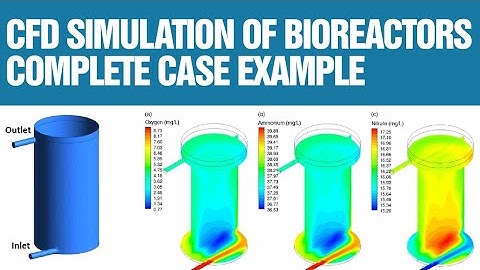 Bioreactor simulations with Computational Fluid Dynamics (CFD)