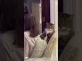 Cat can’t handle your voice