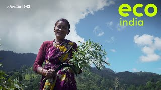 Eco India: Indigo's journey, from signifying colonial oppression to empowering Himalayan communities