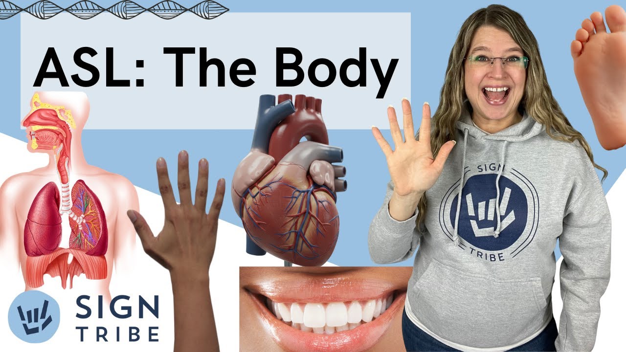 ASL Signs for Body Parts & Organs | Sign Tribe Academy | Dr. Luanne ...