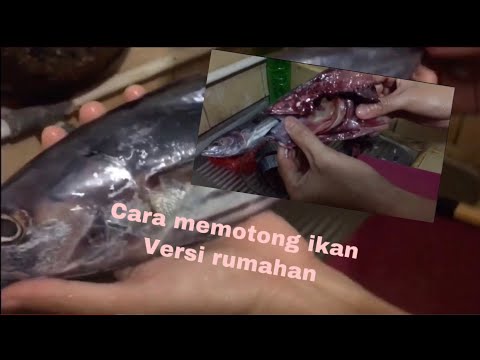 Video: Cara Memotong Ikan Hering