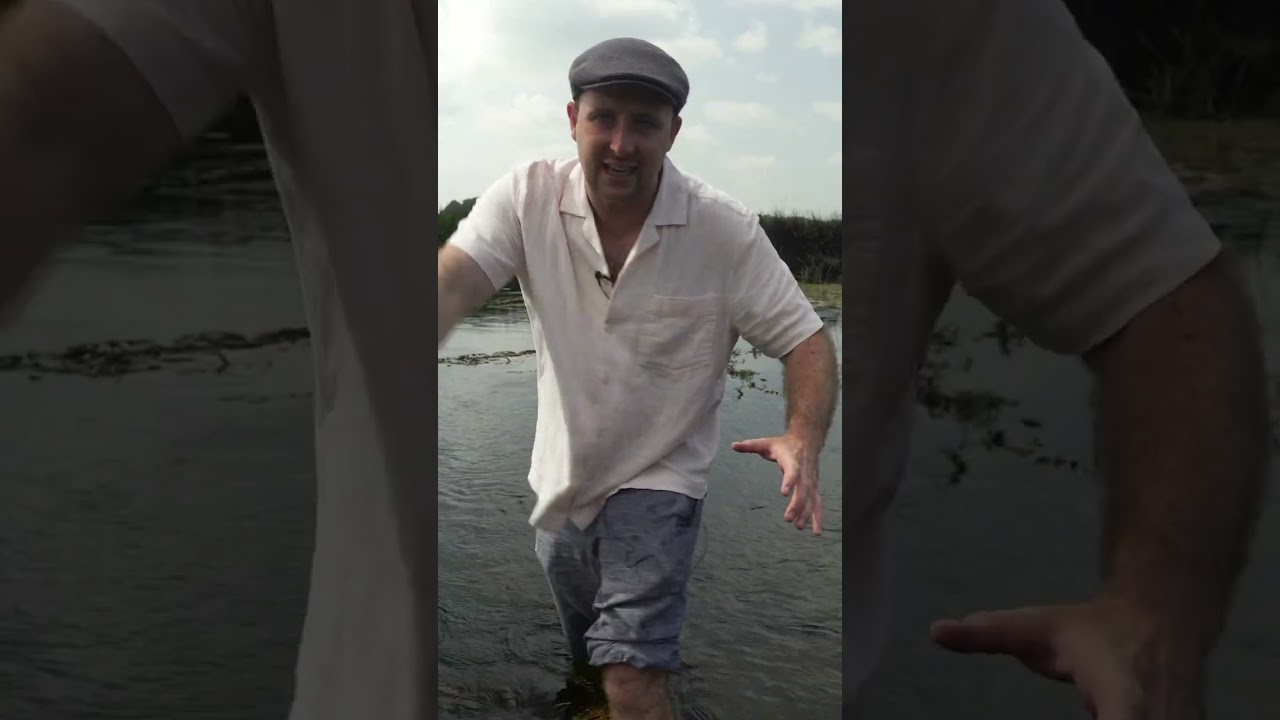 Salmon of Knowledge: Balor's Version