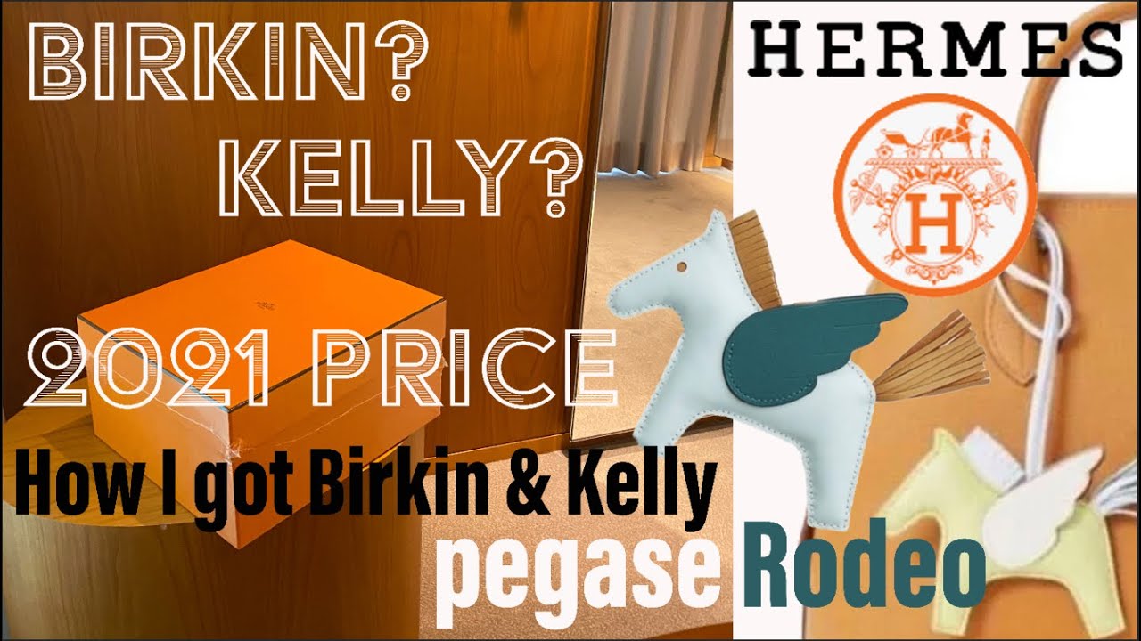 HERMES Birkin? or Kelly? UNBOXING my Dream Bag💕+ Pegase Rodeo