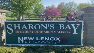 Slides, Swings, and Sand at Sharon's Bay Park in New Lenox IL