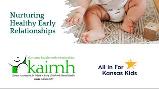 Infant and Early Childhood Mental Health Care Options