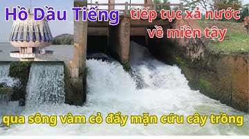 Hồ Dầu Tiếng Tiếp Tục Xã Nước ĐẨY MẶN Qua Kênh PHƯỚC HỘI BẾN ĐÌNH Về sông vàm cỏ cứu miền tây