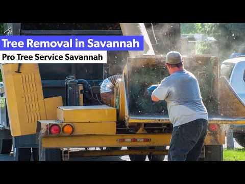 Tree Removal Savannah GA - (912) 244-6848
