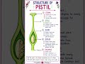2nd puc biology, sexual reproduction in flowering plants(pistil)