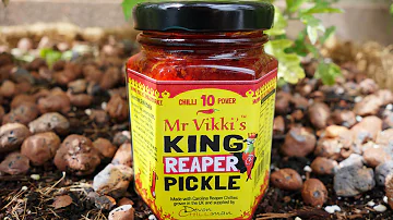 Mr.Vikki's King Reaper Pickle review.