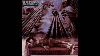 Steely Dan   Don&#39;t Take Me Alive