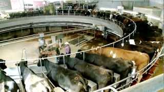 Meet a Farmer | Alan  Vander Horst