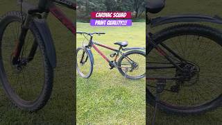 Cardiac squad paint quality