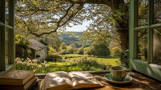 a playlist to romanticize your morning in May 🍃 soft piano music for reading, studying &amp; work