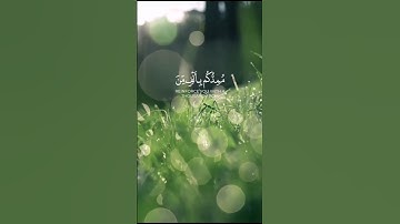 سورة الأنفال الآية 9 القارئ ناصر القطامي