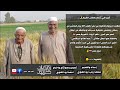 جندي مقاتل عبد الفتاح البرهامي واسرار حرب اكتوبر ٧٣ الحلقة التاسعة بلد الطيبين قصر نصر الدين