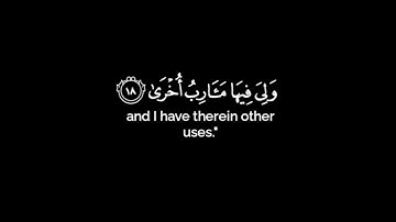 كروما شاشه سوداء قرآن كريم 🌿تلاوة من سورة طه 🌿القارئ أحمد النفيس 🌿