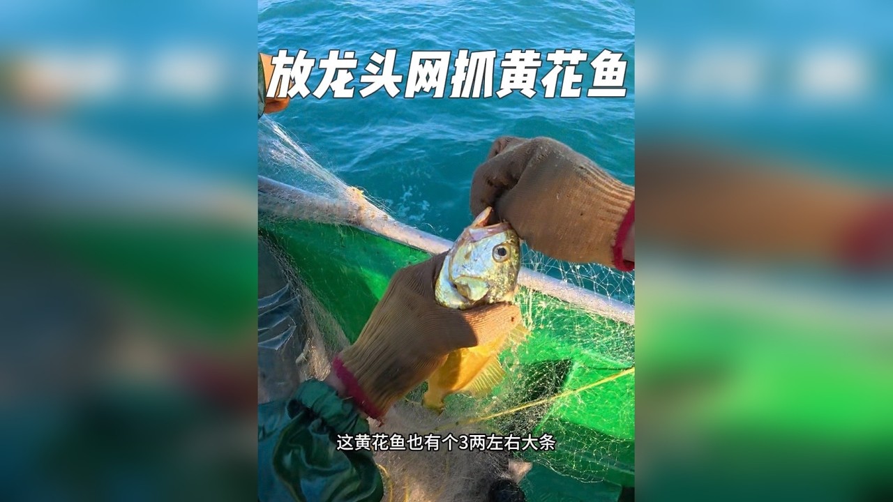 第一人称带你们体验一把拉龙头网的刺激