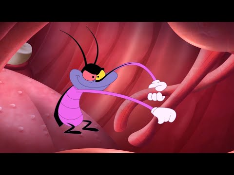 Oggy And The Cockroaches - The Prankster Cartoon | New Episodes In Hd