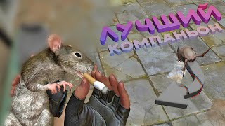:   / Half-Life: Alyx (, )