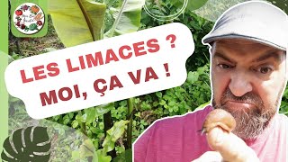 Les limaces ? Moi, ça va !