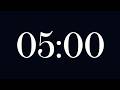 5 Minute Timer ⏳ with no music
