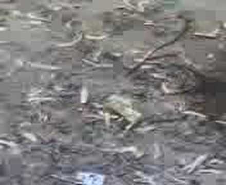 IL 1 .6 .07 "ShuMakom Production" / Double R.E.L & Zirkin02