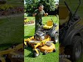 Zero-Turn Mowers: What Landscapers Buy vs What They Skip