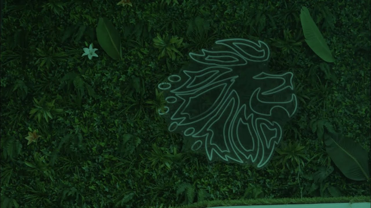 M&T Bank — M&T Bank & King Spa Partnership (YouTube video ad)