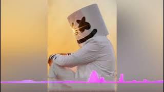 Majburi Ki Aandhi mein ghir jaate hai (DNH TIMLI TARPA STYLE MIX) DJ SGR VANSDA