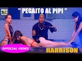 Harryson  pegaito al pipi  official reggaeton 2018  cubaton 2018