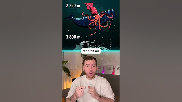 La profondeur de l’océan que l’ont connaît ! 😳