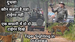 Dudhwa Two Tigers Sighting in One Safari