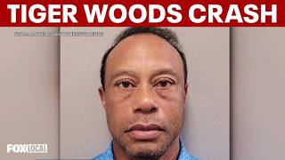 Tiger Woods Arrested On Suion Of Dui After Rollover Crash In Florida