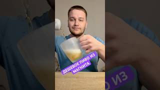 ДЕШЕВОЕ ПИВО ИЗ МАГНИТА🍺🍻#пивобзор #обзор #рекомендации