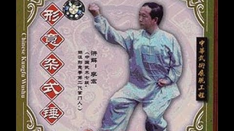 Shang Xing Yi Mixed Fists