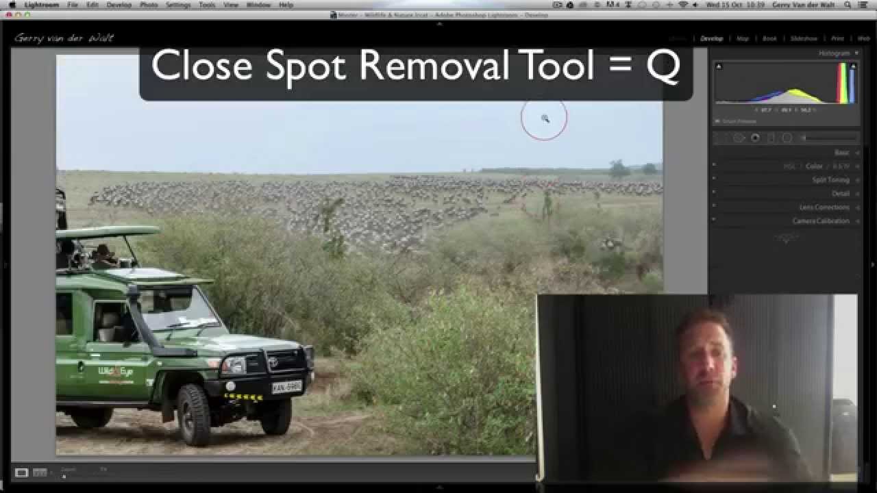 Wild Eye Removing Dust Spots in Lightroom and YouTube