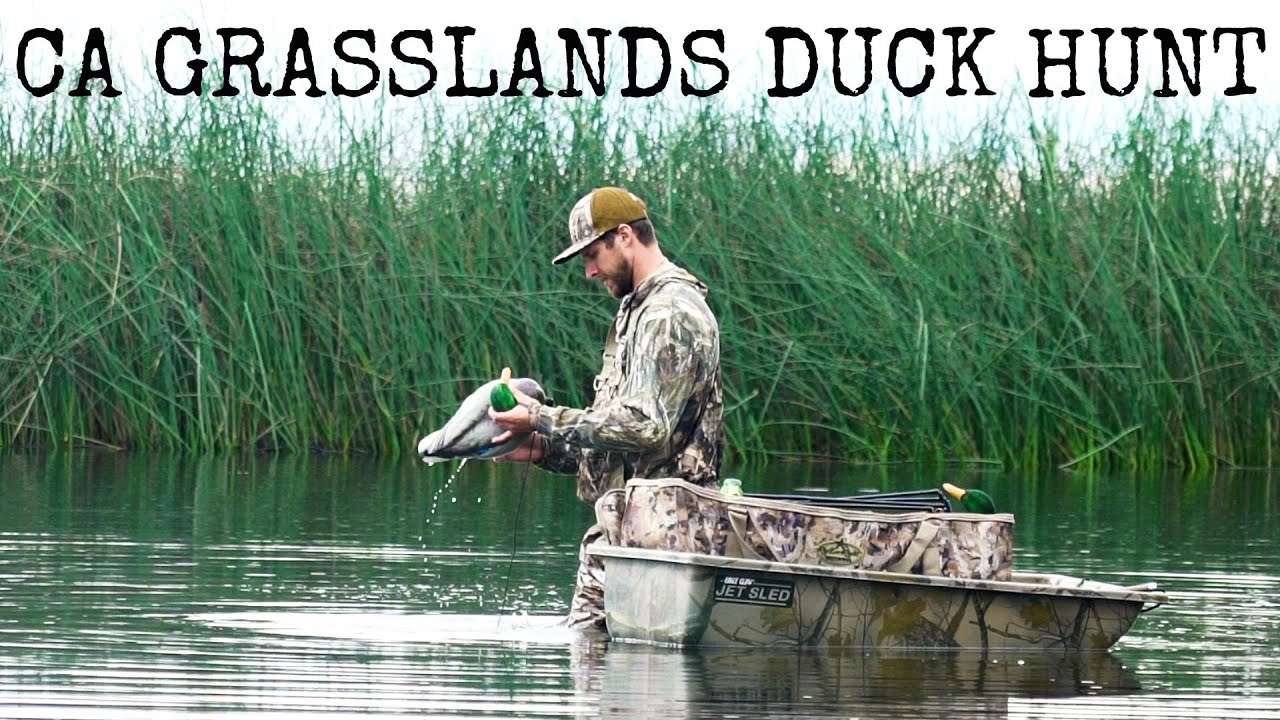 Когда дела идут туго...ОХОТА НА УТОК НА ОБЩЕСТВЕННЫХ ЗЕМЛЯХ КАЛИФОРНИИ!