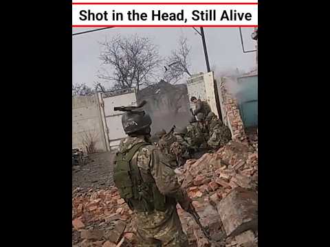 Shot In The Head Still Alive Shorts 