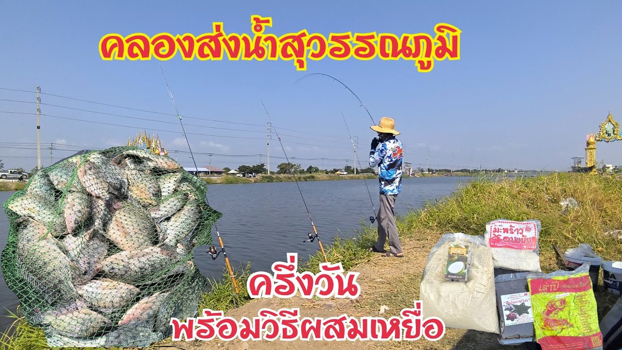 ปลากำลังกินจัด‼️ รถแมคโครก็กำลังลอกคลอง  ตกปลานิลง่ายๆคลองส่งน้ำด้วยเหยื่อสำเร็จรูป +วิธีผสมเหยื่อ
