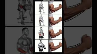 Hand exercise tips for morning time #advancedabworkout #gym #homeexercise