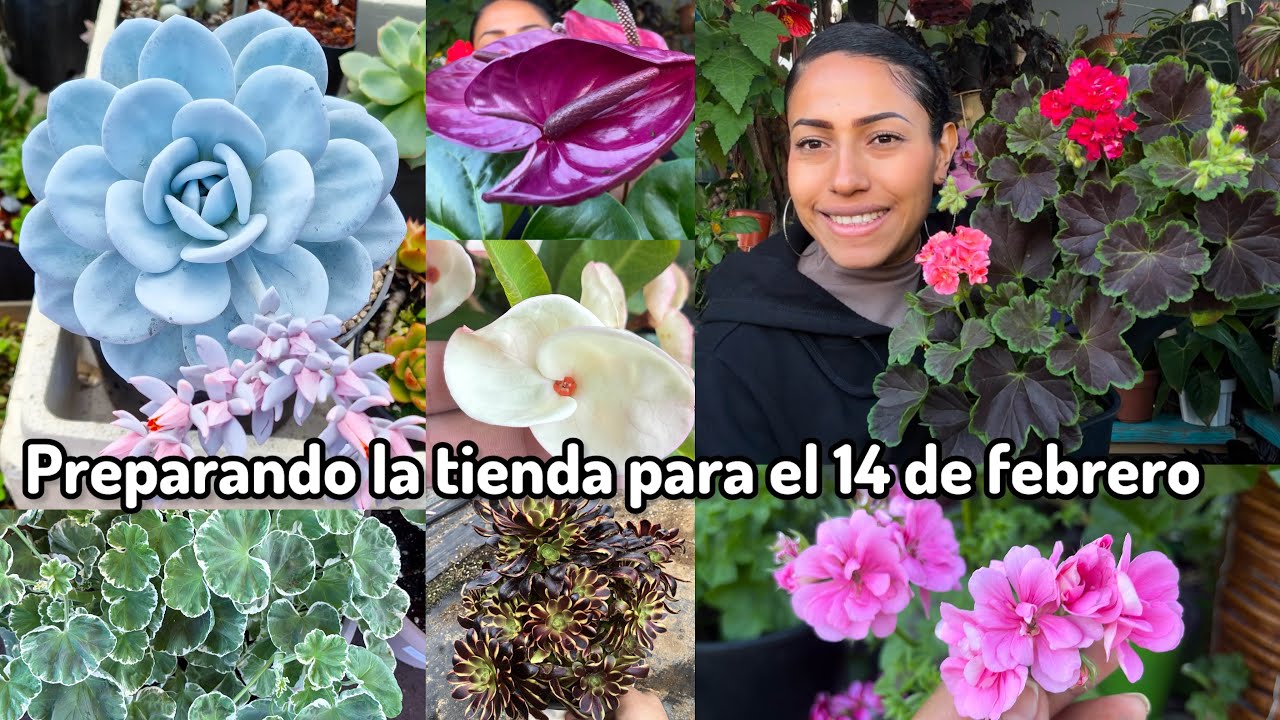 Estoy muy emocionada con todas estas plantas 