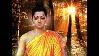 Nature Sounds  Gta 5 Traffic Jam