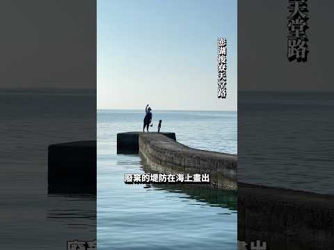 絕美！澎湖最夢幻的秘境海景｜後寮天堂路｜通梁古榕｜跨海大橋｜水灣灣民宿｜花格海味