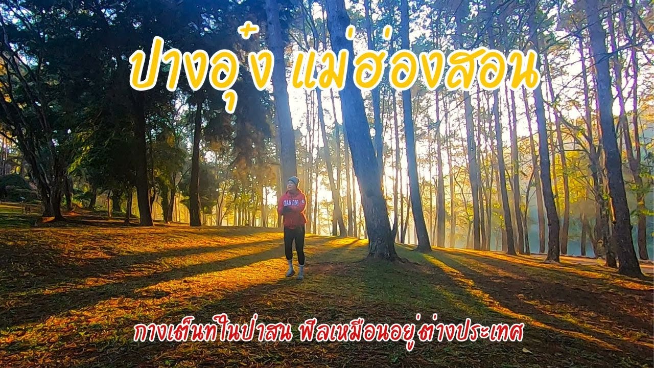 Roadtrip: ปางอุ๋ง แม่ฮ่องสอน กางเต็นท์ในป่าสน ฟีลเหมือนอยู่ต่างประเทศ (รีวิวละเอียด)