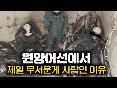 원양어선에 탔다가 당할 수 있는 충격적인 일들 ㅣ원양어선 3부