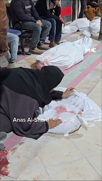 Palestinian mother mourns children killed in Israeli strikes on Gaza