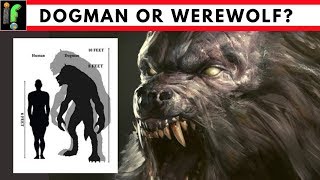Werewolf or Dogman sighting?
