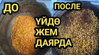 Бул ЖЕМ КОЧКОРДУ тез СЕМИРТЕТ