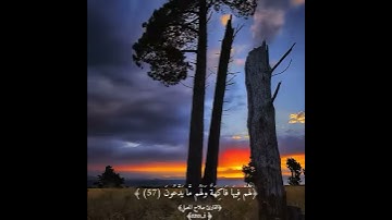 ايه بصوت القارئ صلاح المصلي 😍🌿